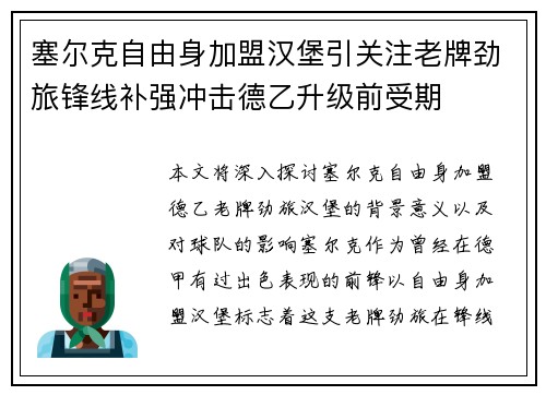 塞尔克自由身加盟汉堡引关注老牌劲旅锋线补强冲击德乙升级前受期